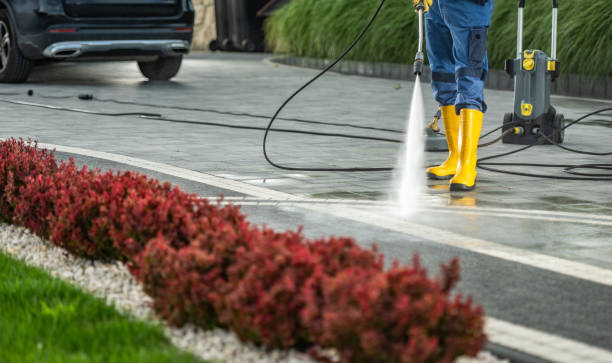Best Solar Panel Cleaning  in Homer, GA